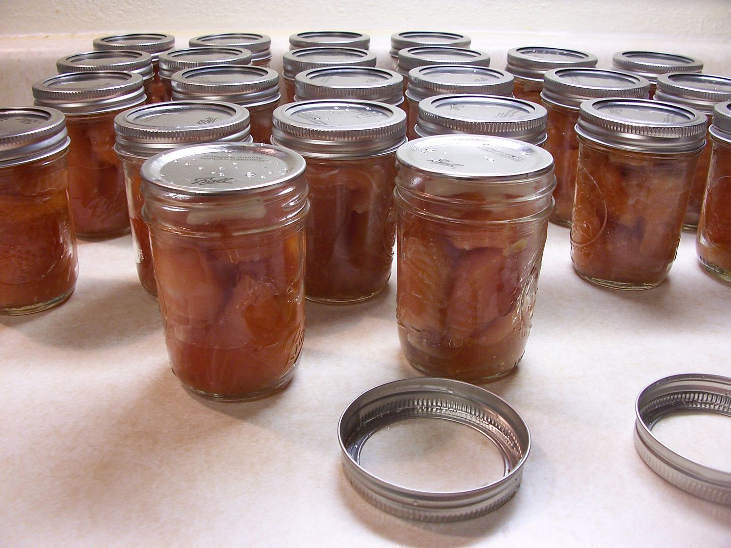 Cowgirl's Country Life Cold Smoking and Canning Salmon for the Winter